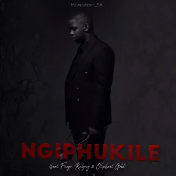 Ngiphukile-cover