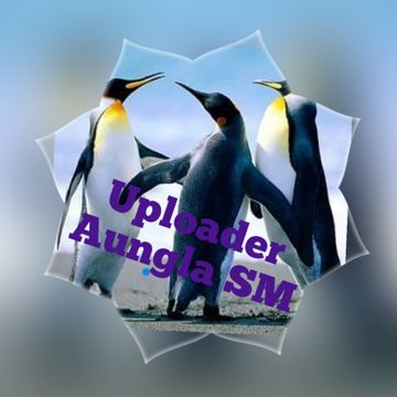 ေနရဲ့ေန ့လရဲ့ည(New Vre)-cover