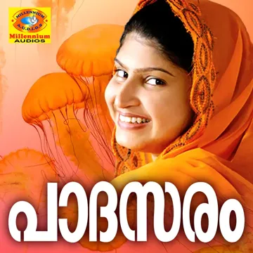 Kannaaram Pothikalichum-cover
