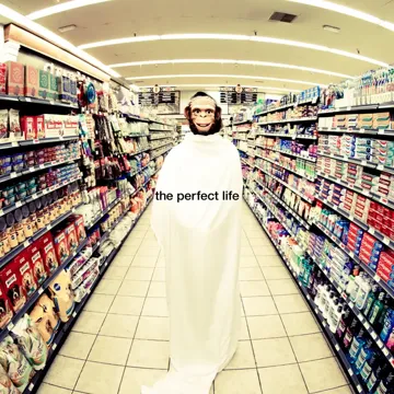 The Perfect Life-cover