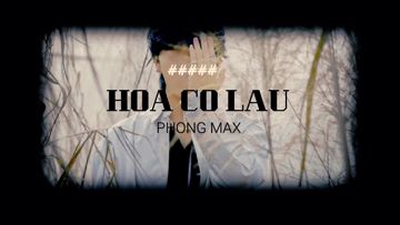 Hoa Cỏ Lau Guitar-cover