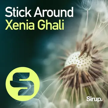Stick Around-cover