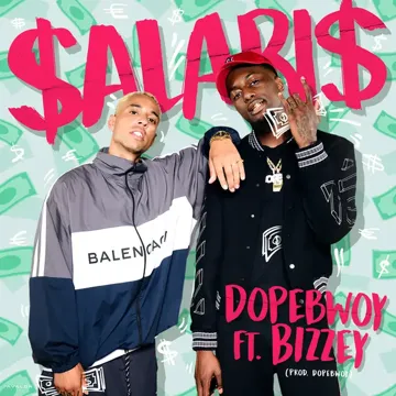Salaris-cover
