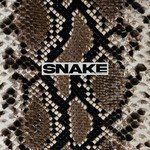 Snake (뱀)(中文填词版)-cover