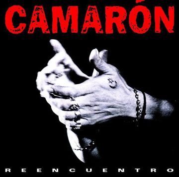 Borrame De Tu Memoria-cover