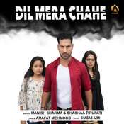 Dil Mera Chahe Jab Bhi Tu Aaye-cover