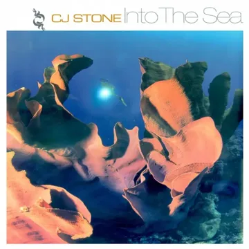 Into The Sea (Moonrise Edit)-cover