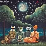 Dil Mera-cover