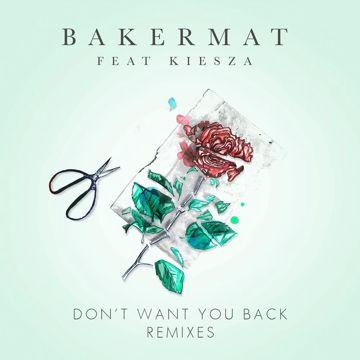 Don't Want You Back (Castelle Remix) (Explicit|Castelle Remix)-cover