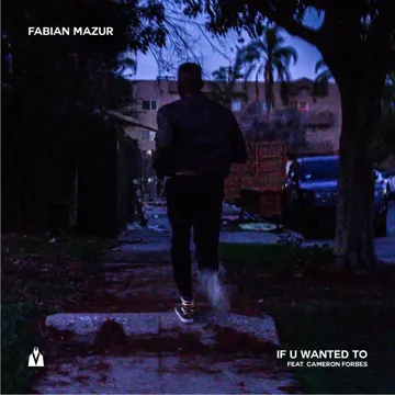 If U Wanted To-cover