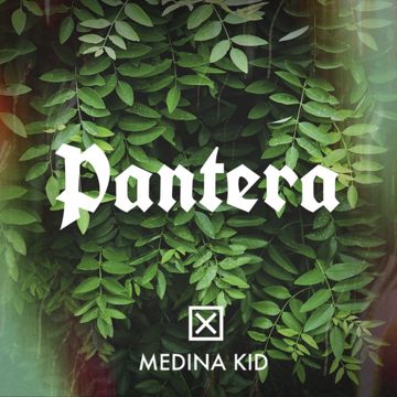 Pantera-cover