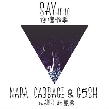 你壞我乖-cover