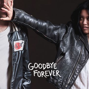 Goodbye Forever-cover