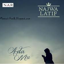 AdaMu-cover