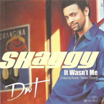 It Wan't Me-cover