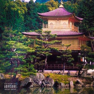 Novo Ninja-cover