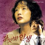 가시-cover
