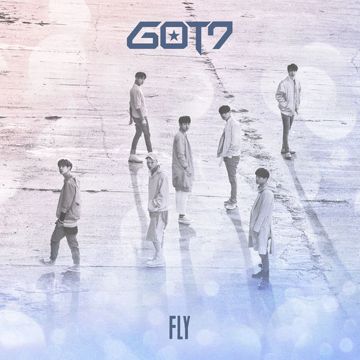 Fly-cover