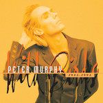 peter-murphy-cuts-you-up-edit-cover-image
