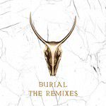 Burial(Skrillex & Trollphace Remix)(Remix)-cover