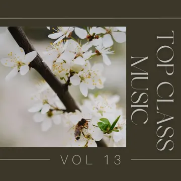 Roses-cover