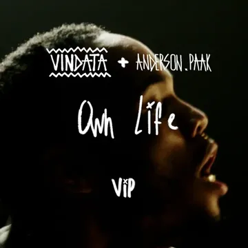 Own Life (feat. Anderson .Paak) [VIP Mix]-cover
