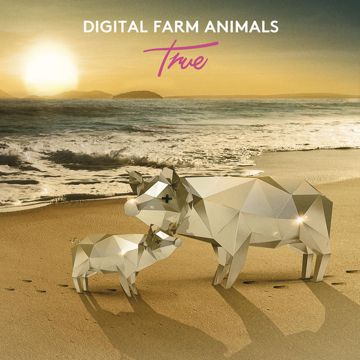 True-cover