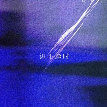 识不逢时-cover