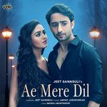 Ae Mere Dil-cover
