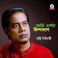 bari-siddiqui--cover-image