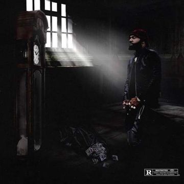 Steelo-cover