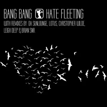 Hate Fleeting (Leigh Deep Way Too Deep Mix)-cover