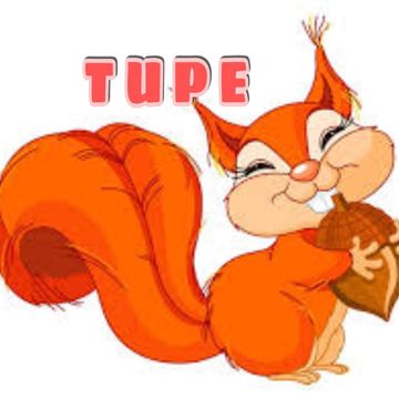 opening_host_tupe-cover