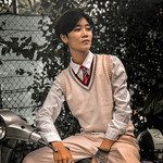 Cây Trúc Xinh-cover