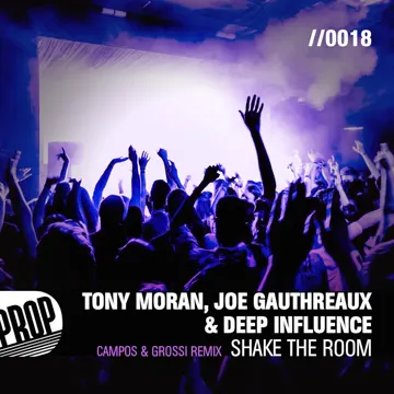 Shake the Room (Campos & Grossi Remix)-cover