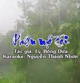 Tân Cổ Phận Mồ Côi dây kép -cover