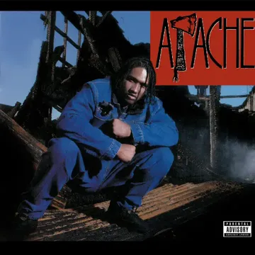 Gangsta Bitch-cover