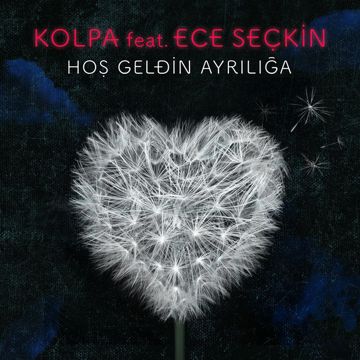 Sayın Seyirciler-cover