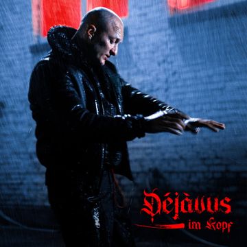Déjàvus im Kopf-cover
