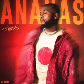 ANANAS-cover
