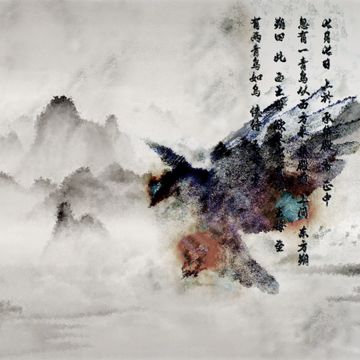 青鸟-cover