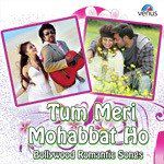 Jab Haal-E-Dil Tumse Kehne Ko-cover