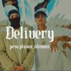 Delivery-cover