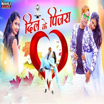 Dil Ke Pinjra-cover