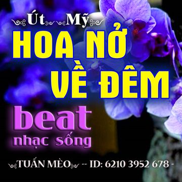 HOA NỞ VỀ ĐÊM