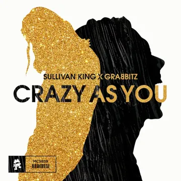 Crazy as You-cover