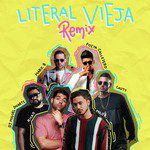 litEral viEja (Remix)-cover