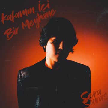 Kafamın İçi Bir Meyhane-cover
