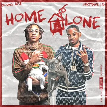 Home Alone-cover