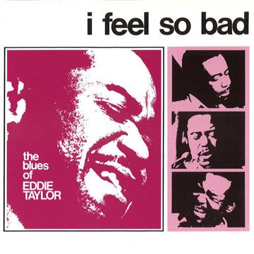 I Feel So Bad-cover